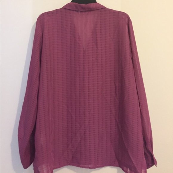 Liz Baker Long Sleeve Sheer Blouse - Picture 4 of 4